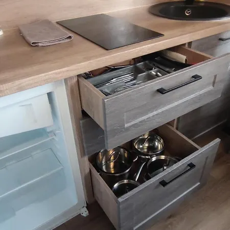 Viktor Apartment Truskavets