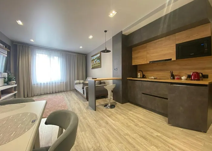 Apartment Viktor