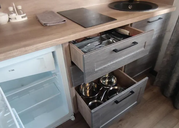 Viktor Apartment Truskavets