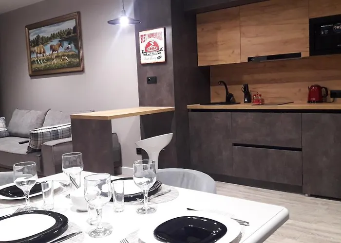 Apartment Viktor Truskavets